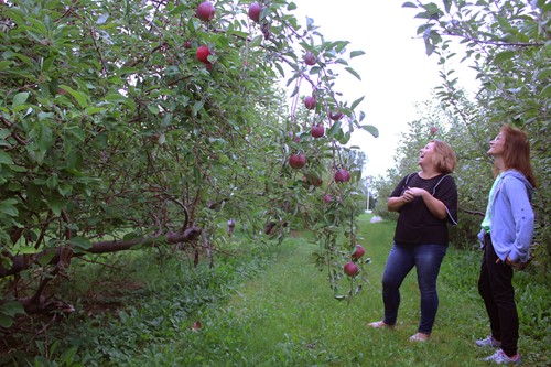 Dellapenna and Williams in apple orchard