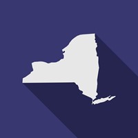 new york state graphic